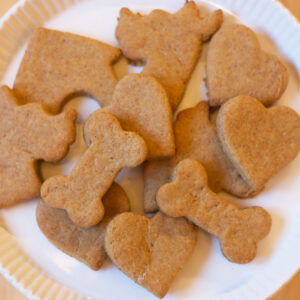 Dog Treats
